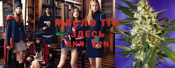 сатива Верея