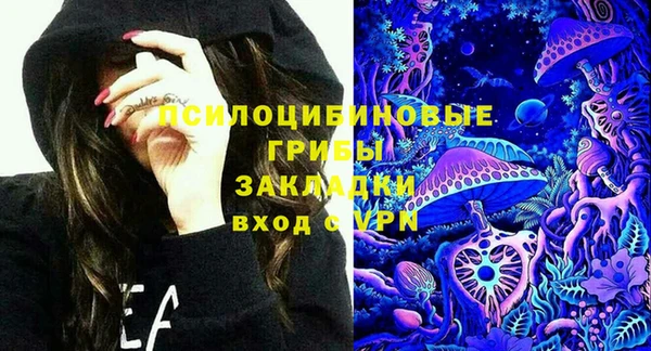 сатива Верея