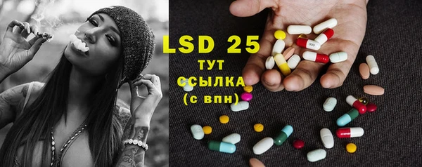 сатива Верея
