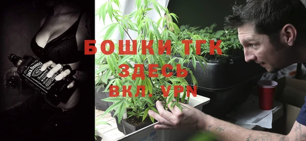 сатива Верея