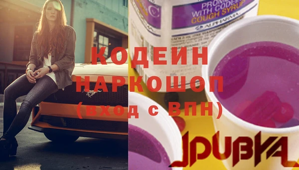 сатива Верея