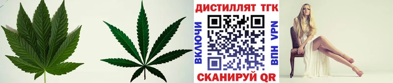 дарк нет наркотические препараты  Мончегорск  ТГК концентрат 